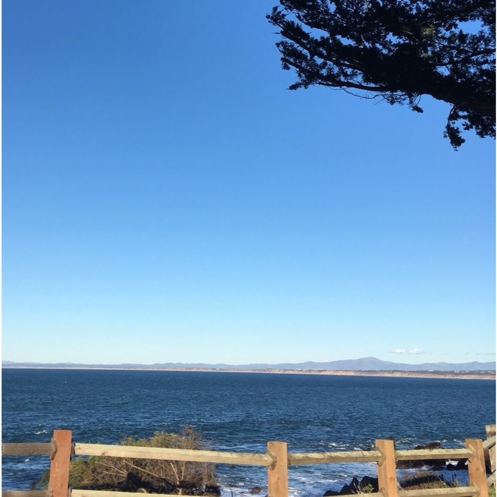 Meet your Posher, Mario